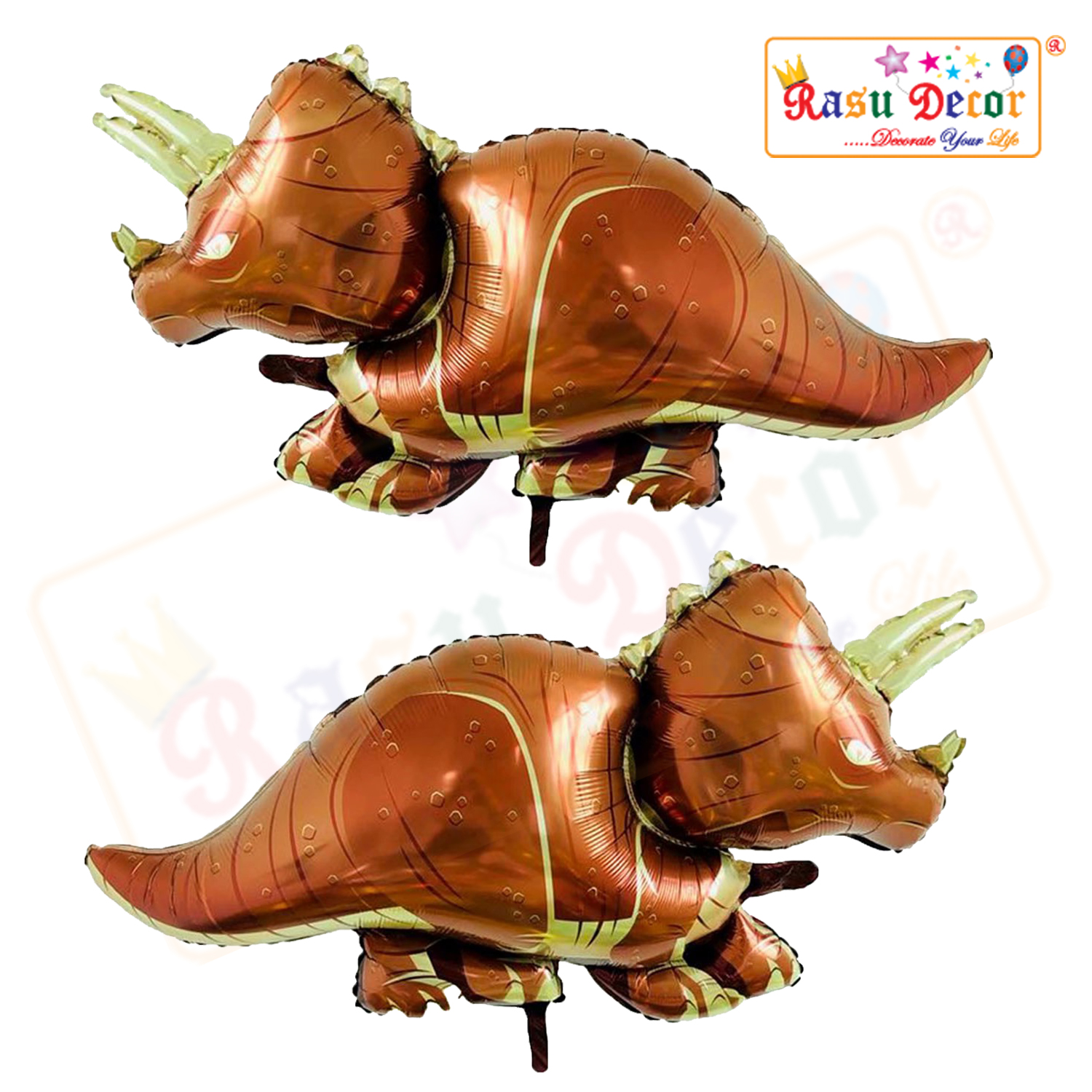 RD-FBDNSR6002-MAIN-COPY